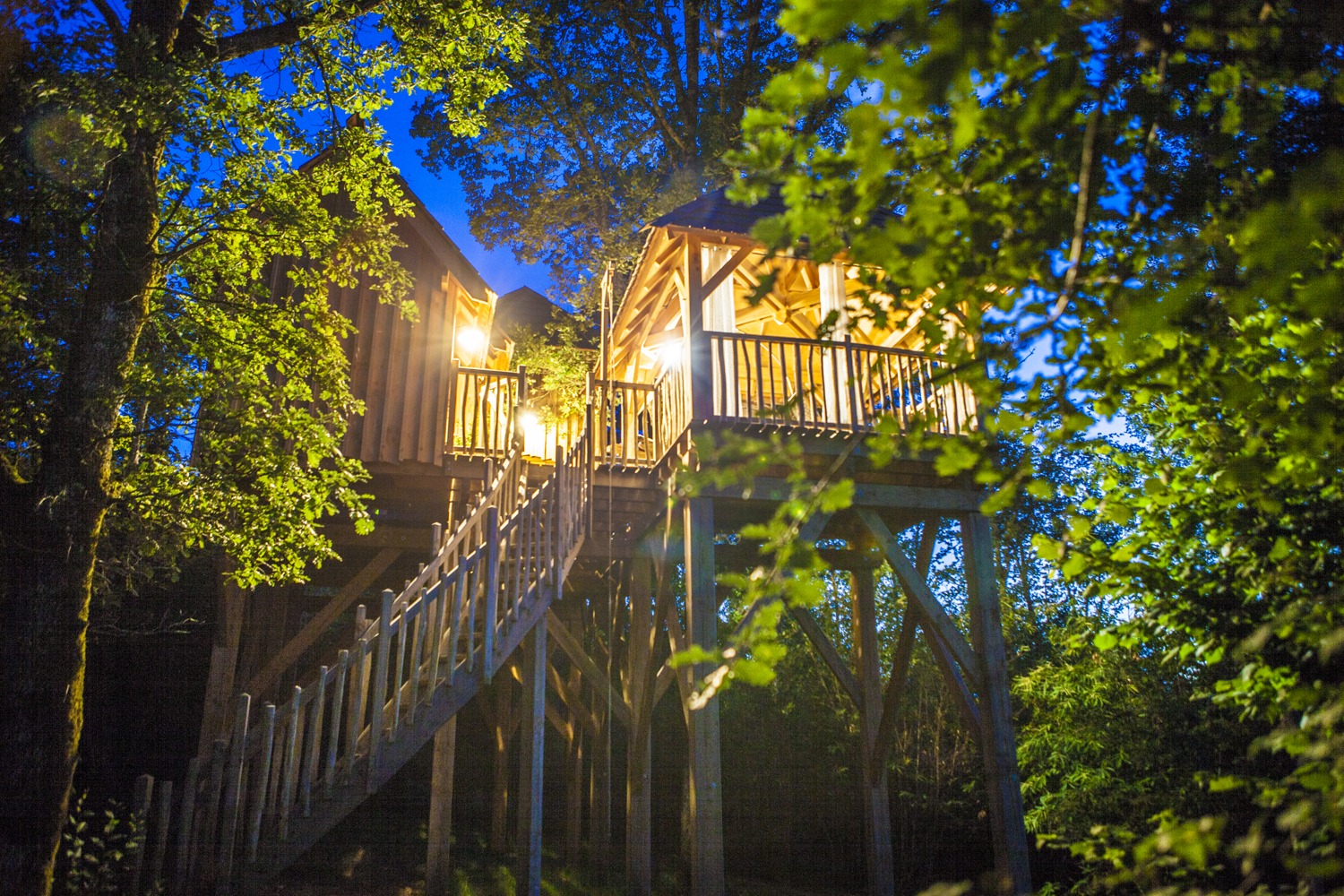 Foret 19