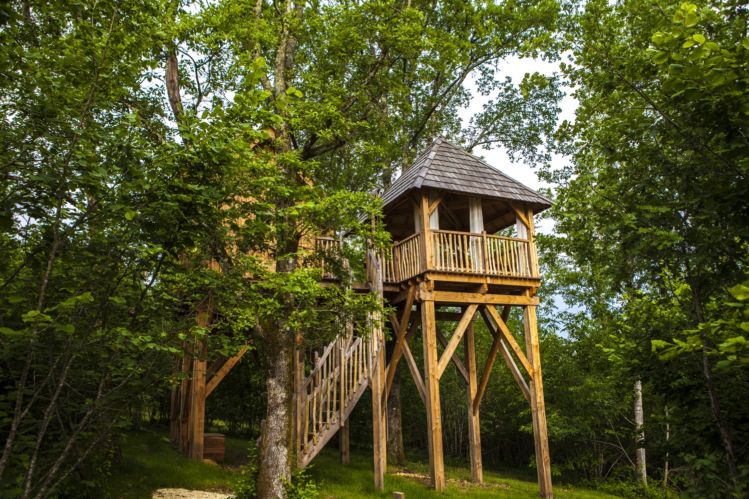 Foret 9